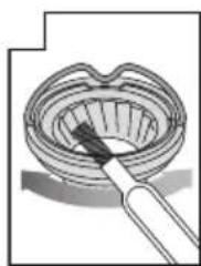 SAGE the Smart Grinder Pro BCG820 - PULIZIA DELLE MACINE CONICHE - 7