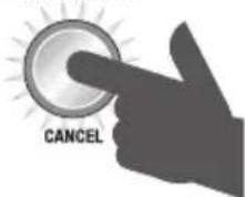 SAGE the Smart Grinder Pro BCG820 - UTILISATION DE VOTRE NOUVEL APPAREIL - 3