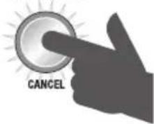 SAGE the Smart Grinder Pro BCG820 - Programm-Funktion - 3