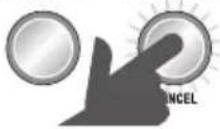 SAGE the Smart Grinder Pro BCG820 - MANEJO DE TU NUEVO ELECTRODOMÉSTICO - 2