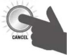 SAGE the Smart Grinder Pro BCG820 - Selecionar DOSES/CHAVENAS - 4