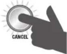 SAGE the Smart Grinder Pro BCG820 - Funzione Programma - 3