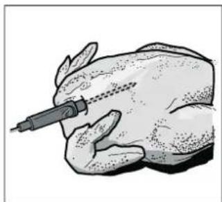 GAGGENAU BSP250111 - Introduire la sonde thermométrique dans l'aliment à cuire - 2