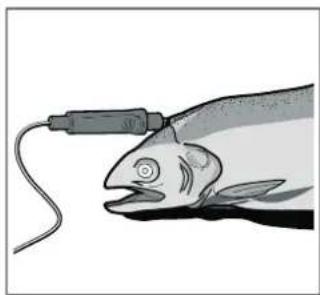 GAGGENAU BSP250111 - Introduire la sonde thermométrique dans l'aliment à cuire - 4