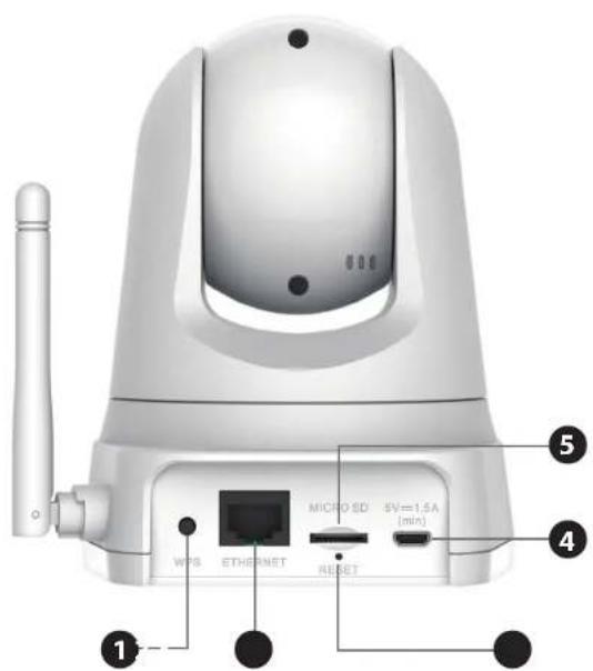 D-LINK DCS5030L - Vue arrière - 1