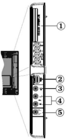 Tucson TL1901B11 - Viewing the Connections - Side Connectors - 1