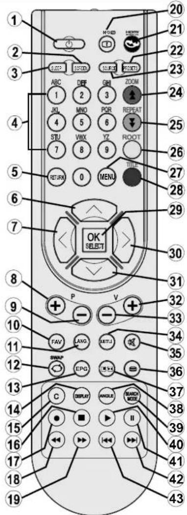 Tucson TL1901B11 - Overview of the Remote Control - 1