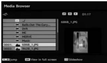 TECHWOOD TL3210TN875 - Viewing JPEG Files - 1