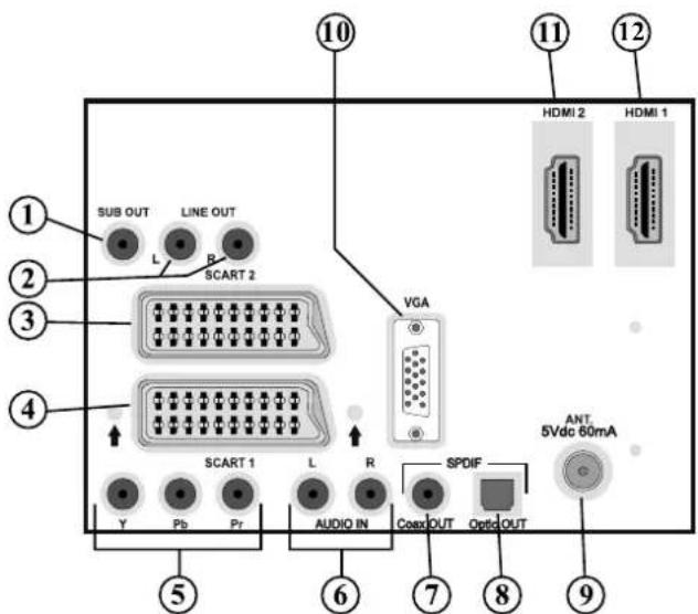 TECHWOOD TL3210TN875 - Viewing the Connections- Back Connectors - 1