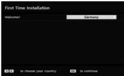 TECHWOOD TL3210TN875 - Initial Settings - 1