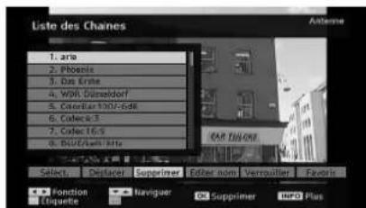 TECHWOOD TL3210TN875 - Supprimer les chaînes dans la liste des chaînes - 1