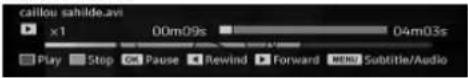 TECHWOOD TL3210TN875 - Video Playback (optional) - 1