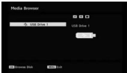 TECHWOOD TL3210TN875 - Media Browser (in DTV mode) - 2