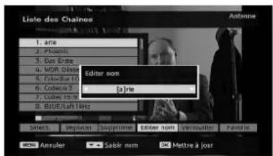 TECHWOOD TL3210TN875 - Renommer des chaînes - 1