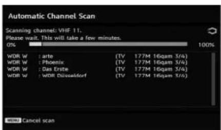 TECHWOOD TL3210TN875 - Initial Settings - 4