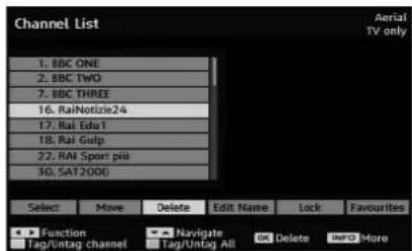 TECHWOOD TL3210TN875 - Deleting the Channels in the Channel List - 1