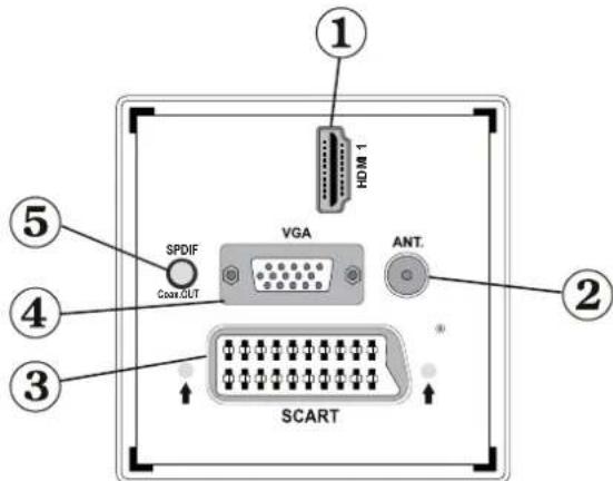 TECHWOOD TKR26B62N - Viewing the Back side Connections - 1