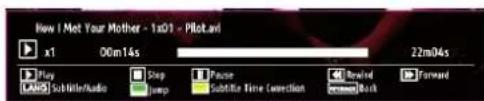TECHWOOD TKR26B62N - Media Playback Using Media Browser - 3