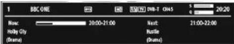 TECHWOOD TDVE19TN11 - On-Screen Information - 1