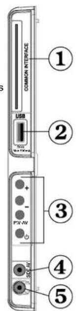 TECHWOOD TDVE19TN11 - Viewing the Connections - Side Connectors - 1
