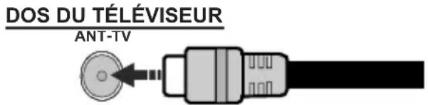 TECHWOOD TD55UHDLED19SW - Branchement de l'antenne - 1