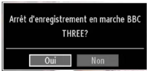 TECHWOOD TD32HDTN12 - Enregistrement instantané - 3