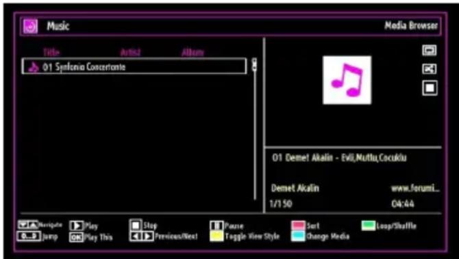 TECHWOOD CL24ITM12FDVX - Playing Music via USB - 1