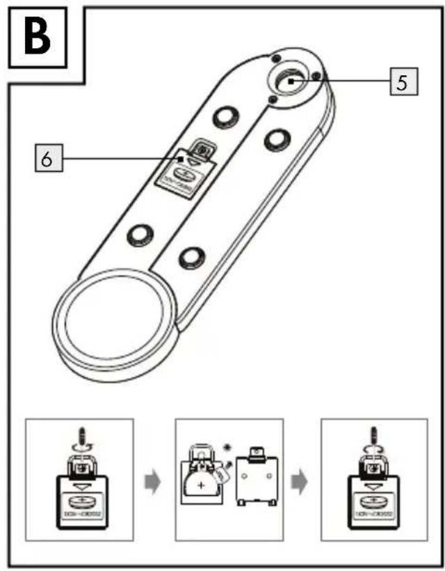 B 5 6 DCI-COSCO DCI-COSCO DCI-COSCO DCI-COSCO