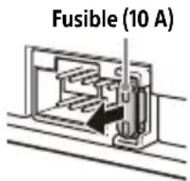 Fusible (10 A)