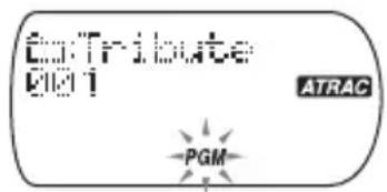 SONY DNE715 - Lecture des plages dans l'ordre de votrechoix (lecture PGM) - 2