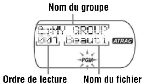 SONY DNE715 - Lecture des plages dans l'ordre de votrechoix (lecture PGM) - 6