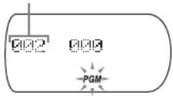 SONY DNE715 - Lecture des plages dans l'ordre de votrechoix (lecture PGM) - 5