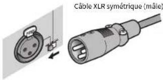YAMAHA MXA5200 - Prise INPUT (XLR) - 1