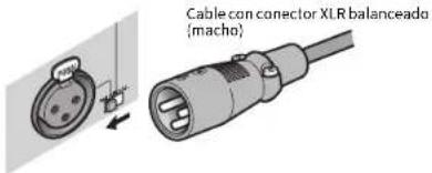 Cable con conector XLR balanceado (macho)