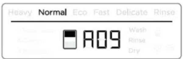 Fisher & Paykel DD24DI9_N - Important! - 2