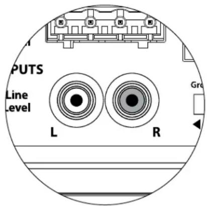 JL Audio Dominion d110 - Connettore di collegamento wireless - 1