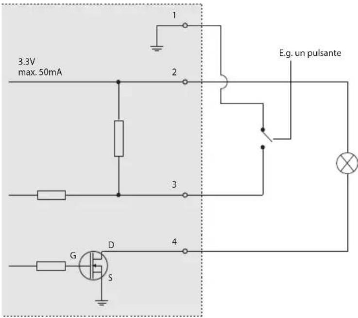 AXIS P3346VE - Connettori - 2