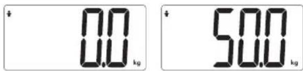 TERRAILLON Easy Move - LICHAAMSVETWEEGSCHAAL – HANDLEIDING - 2