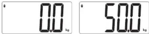 TERRAILLON Easy Move - BODY FAT SCALE – INSTRUCTION MANUAL - 2
