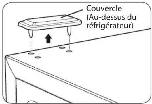 LG LTCS24223S - Retrait de la porte du concélateur - 6
