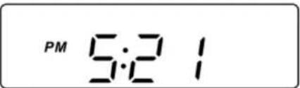SANGEAN PRD9W - FM stereo (Auto) / mono - 19