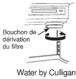 GE GSE23GGKWW - Bouchon de dérivation du filtré - 2