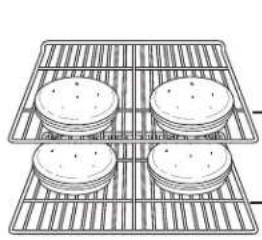 GE JTS5000ENES - Probe Care Guidelines - 1
