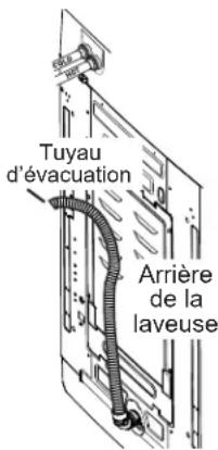 Tuyau d'évacuation Arrière de la laveuse