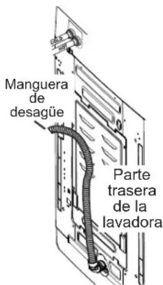 Manguera de desagüe Parte trasera de la lavadora