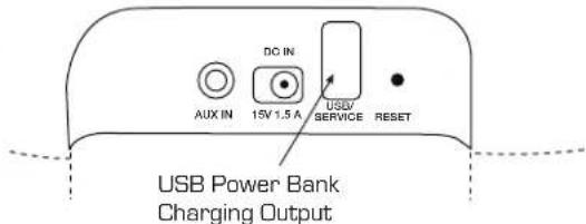 SoundCast VG5 - Charging Battery - 3