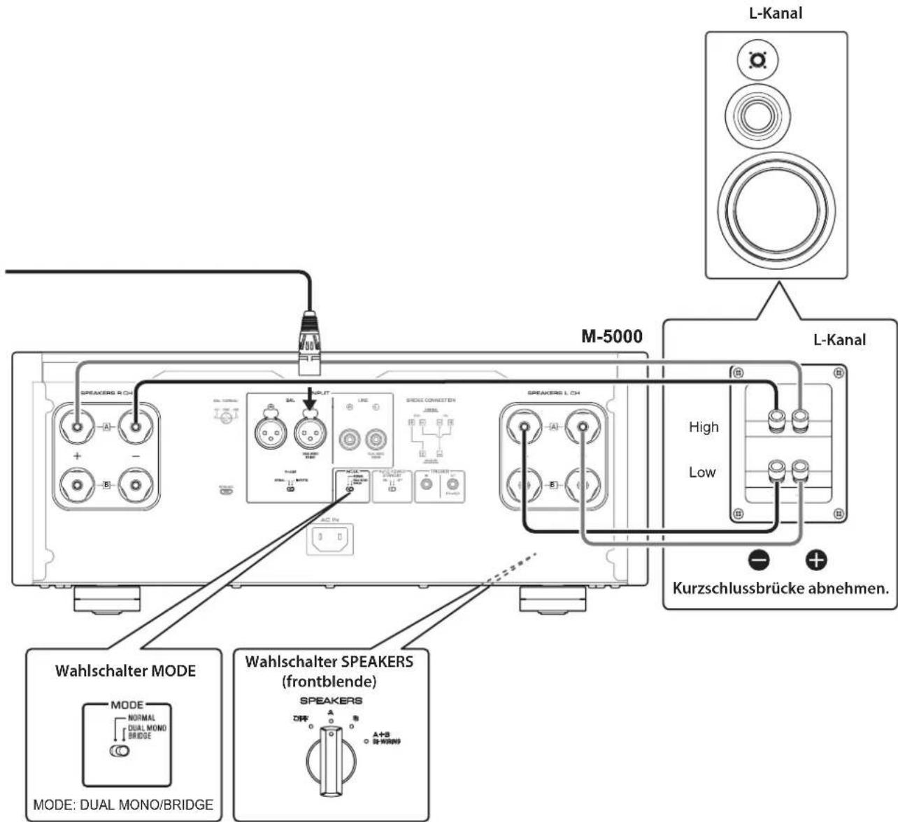 YAMAHA M5000 - Bi-Amping-Verbindung - 3