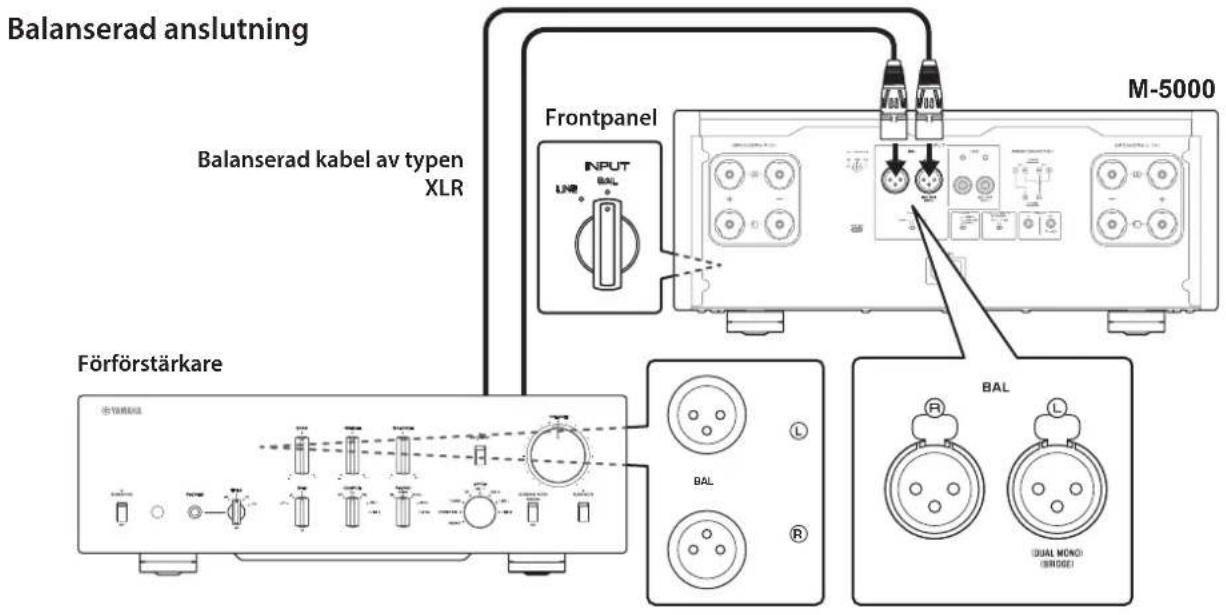 YAMAHA M5000 - Ansluta en för Förstärkare - 1