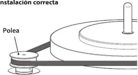 instalacion correcta Polea