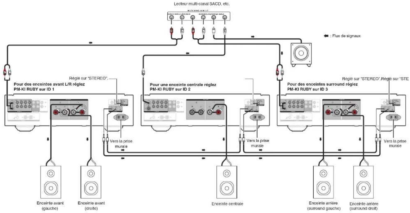 MARANTZ PMKI RUBY - Connexion pour la lecture multi-canaux 5.1 - 1